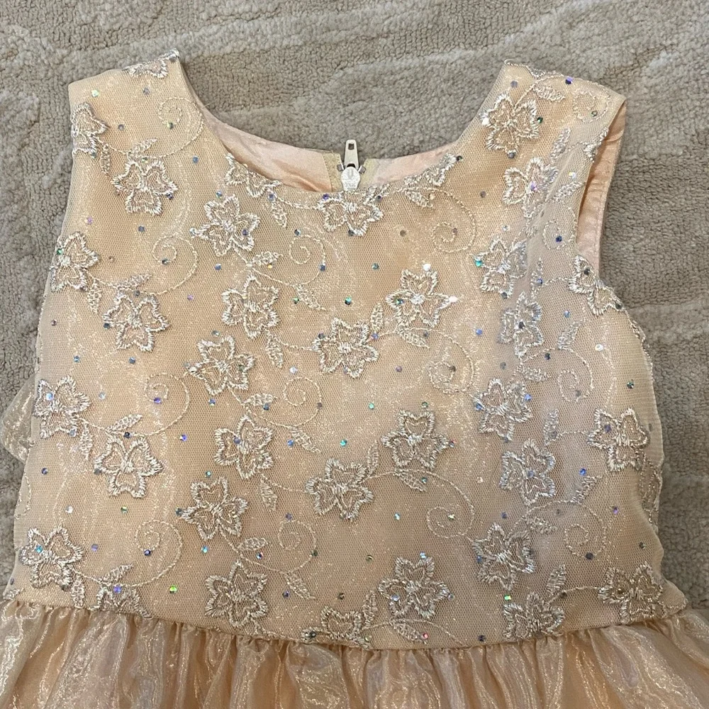 Jessica McClintocktock size 3 girls formal dress!!! - Picture 2 of 8